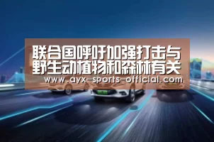联合国呼吁加强打击与野生动植物和森林有关的跨国有组织犯罪:爱游戏sports官网(图1) 爱游戏sportsapp