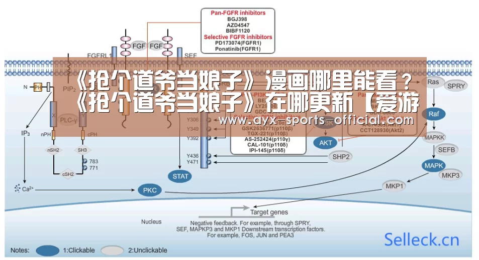 爱游戏sportsapp